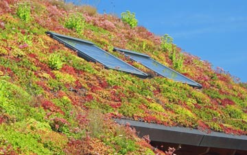 Woolley Bridge living roof systems